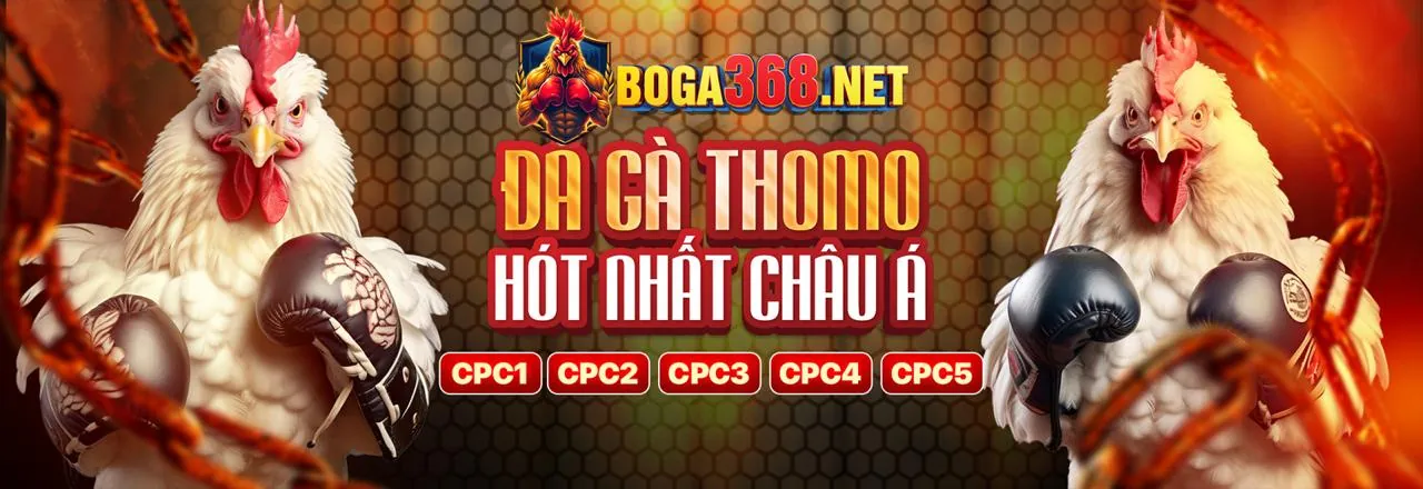 Các loại game nổ hũ jackpot và video slots tại ZBET